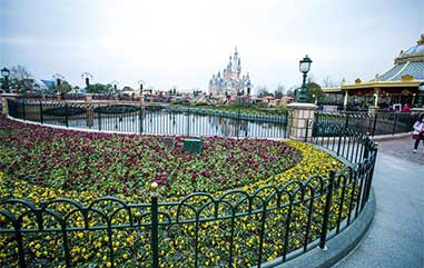 上海迪士尼产品应用实景